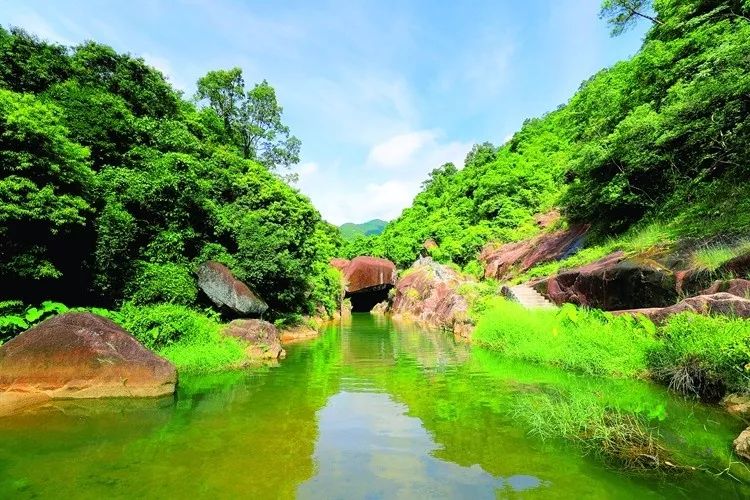 广东124个县市区常住人口,广东第一大县户籍人口