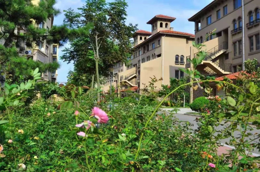 让心灵去旅行——海之梦国学养生营第二期回顾实录