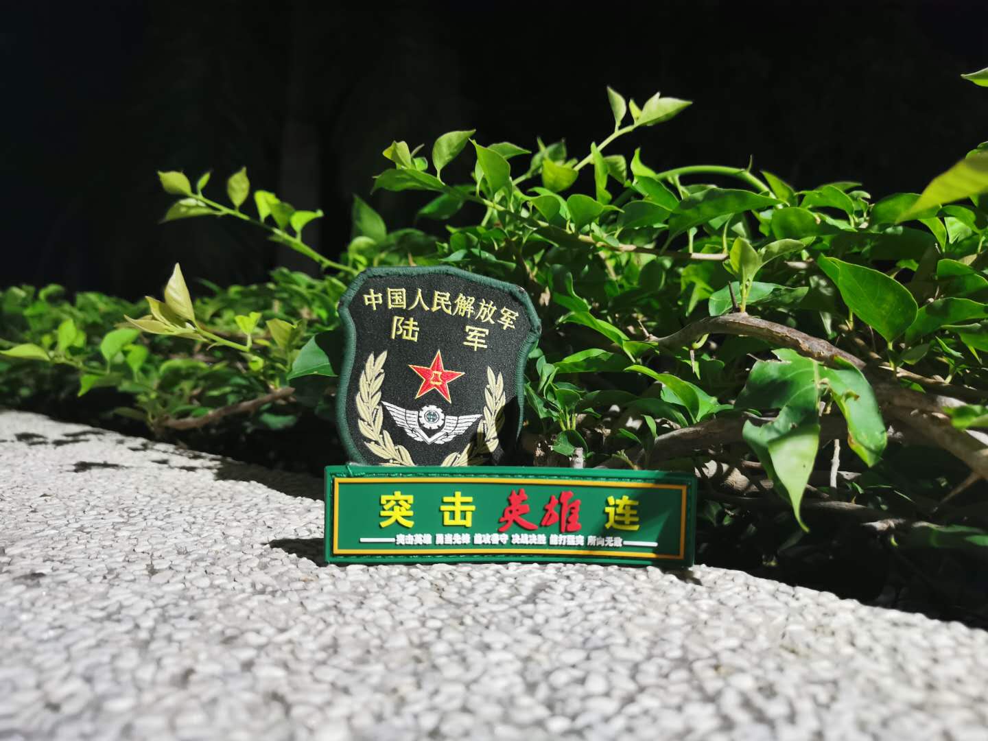 退伍季戎马一生归来仍是少年,退伍季一声战友一生战友