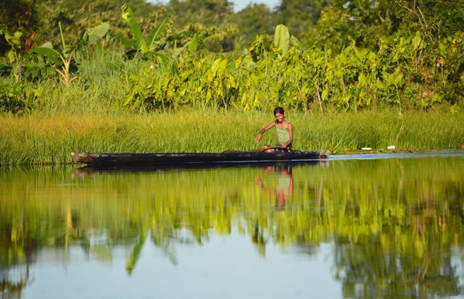 水蟒森蚺动物世界,人类捕获最大的绿森蚺