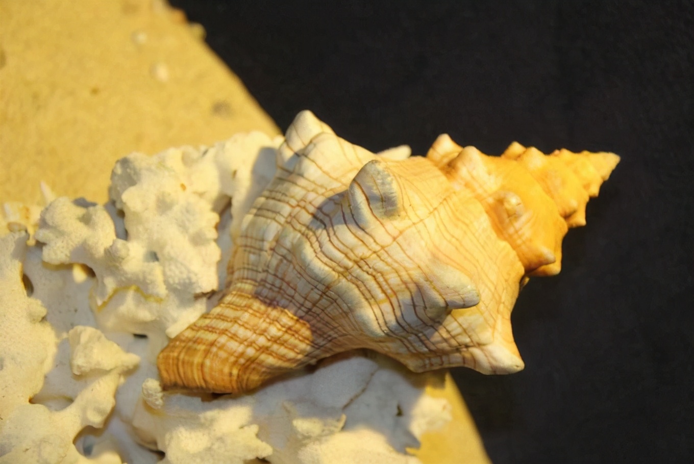 三亚的旅游攻略最细最全,三亚自由行旅游攻略超详细哦