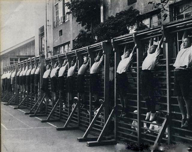 日本是如何进行人种改造的,如何看待日本的人种改良计划