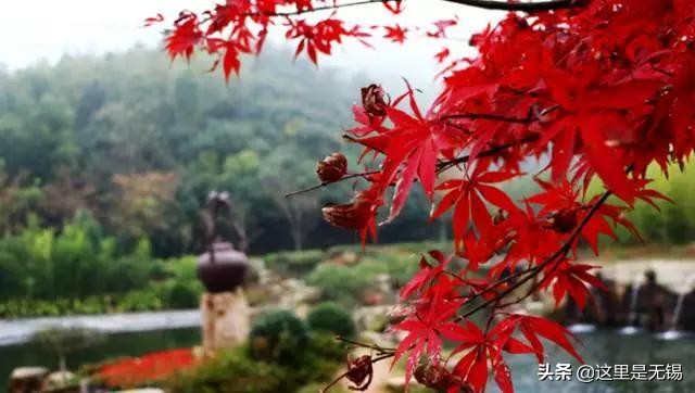 无锡秋游胜地最全推荐,无锡秋游自驾绝佳去处