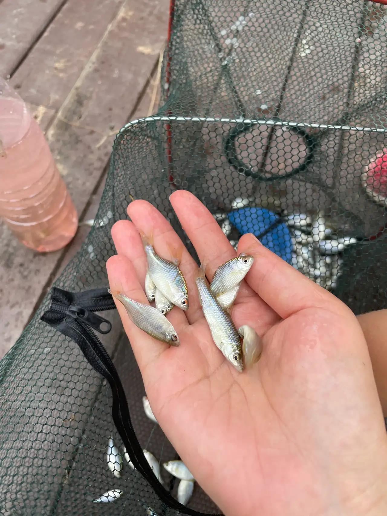 很想换工作但是新工作不稳定,很想换工作又怕过渡期