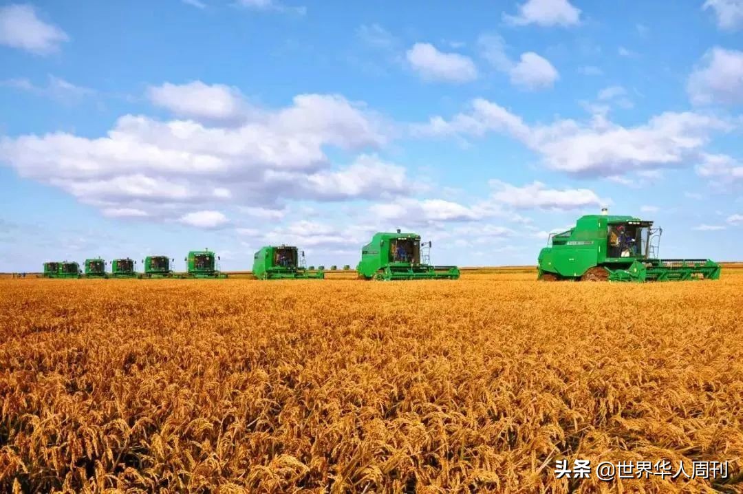 中国史上的粮食战,餐桌上的战争完整版