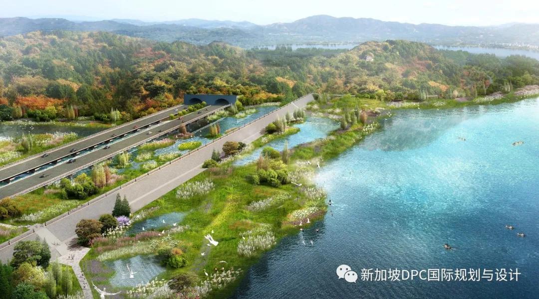 被盛赞“很精彩！很惊艳！很欣喜！”南充最美公园华丽来袭|DPC