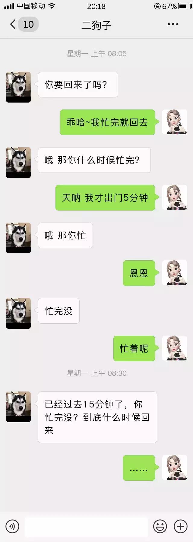 跟我家猫发微信，就像跟渣男在聊天