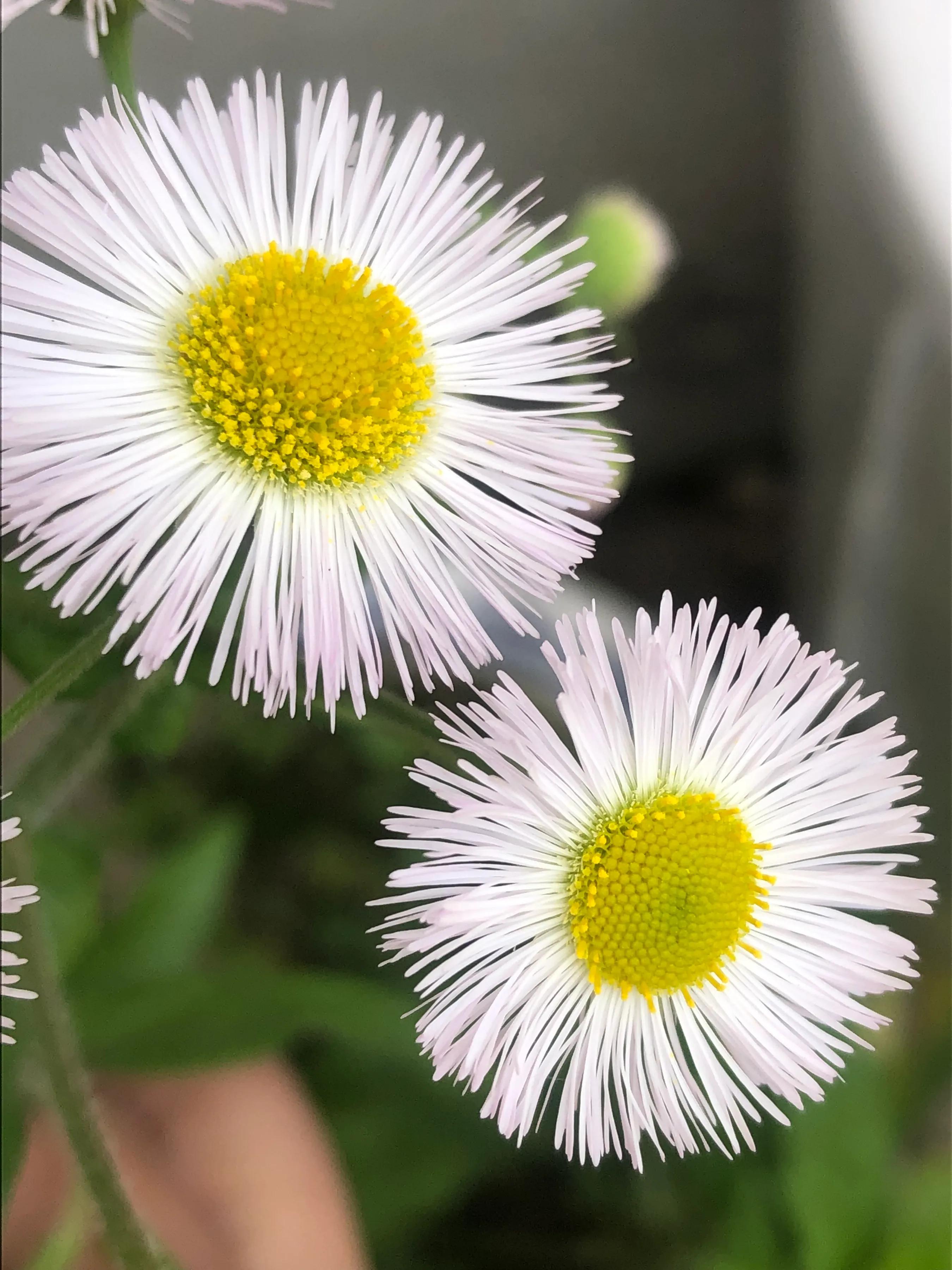 关于新冠疫情的感想与心得,新冠期间的抗疫工作和感想