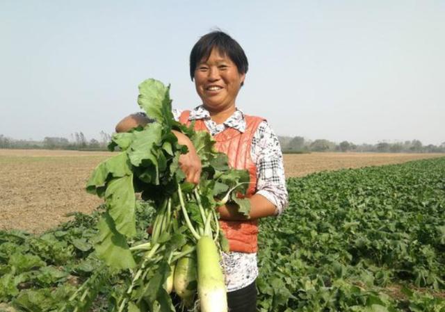 长时间喝蒲公英水对结节有帮助吗,结节喝蒲公英能消除吗