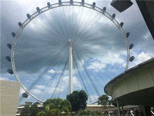 干货出国留学前的流程须知,新加坡留学必备药品清单