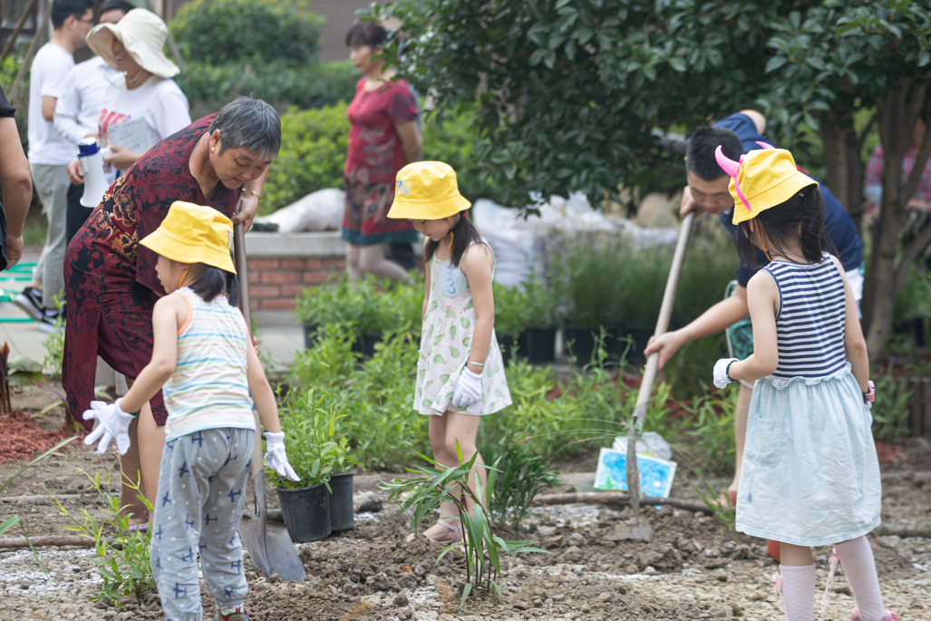 玛丽分享|香格里社区共享花园诞生记