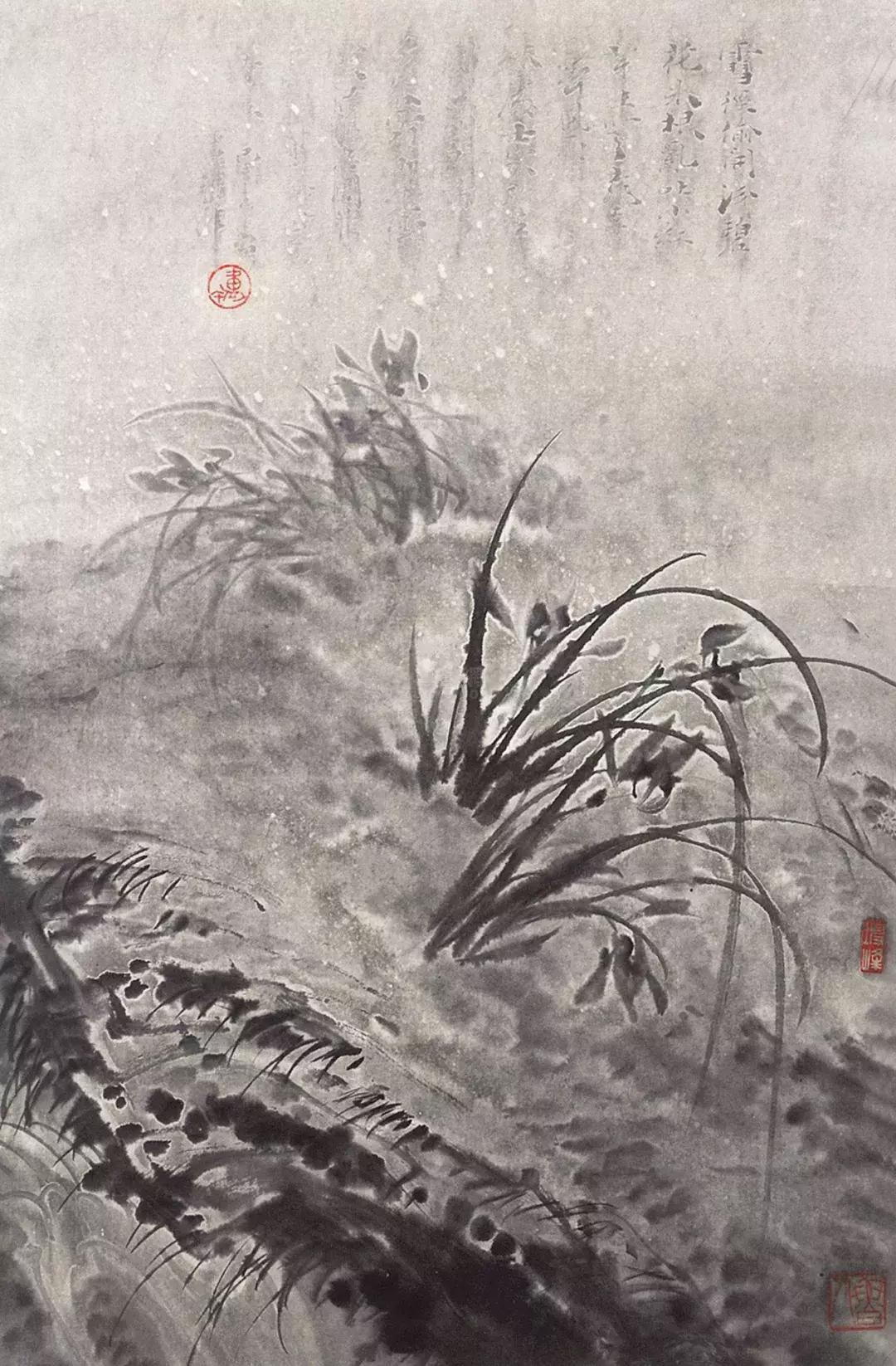 如何画兰花最好看的,君子兰花如何画