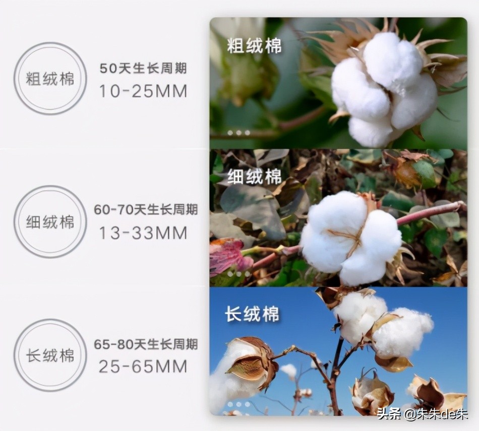 t恤如何挑选领口大小,如何挑选显瘦的t恤