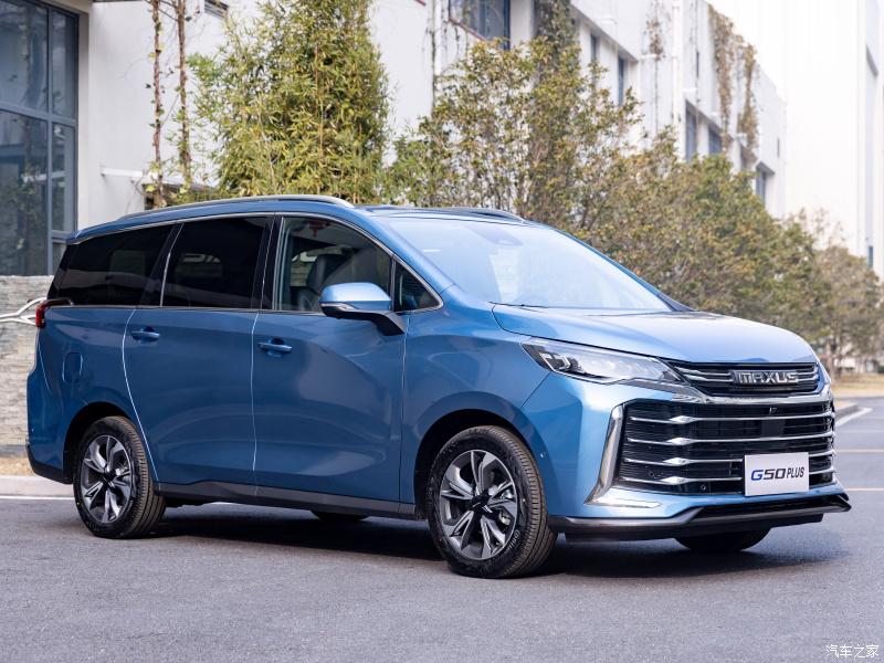 毛孩不听话该怎么办,毛孩子调皮不听话