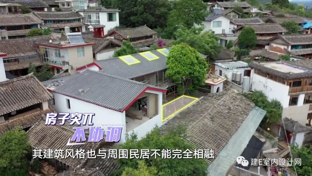 乘风破浪谢柯,谢柯个人简历