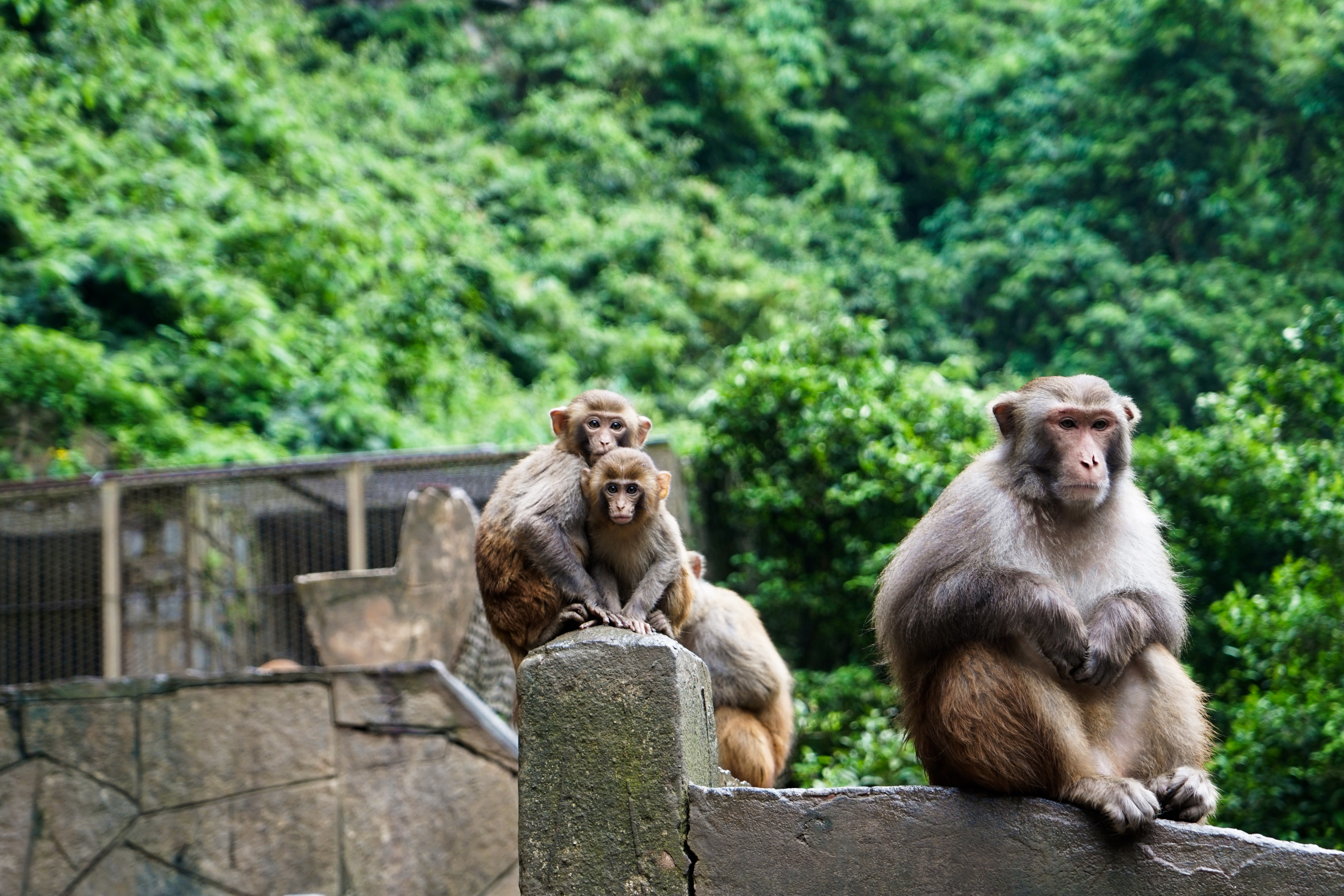 重庆周边山区哪里有温泉,重庆周边泡温泉一日游最佳景点