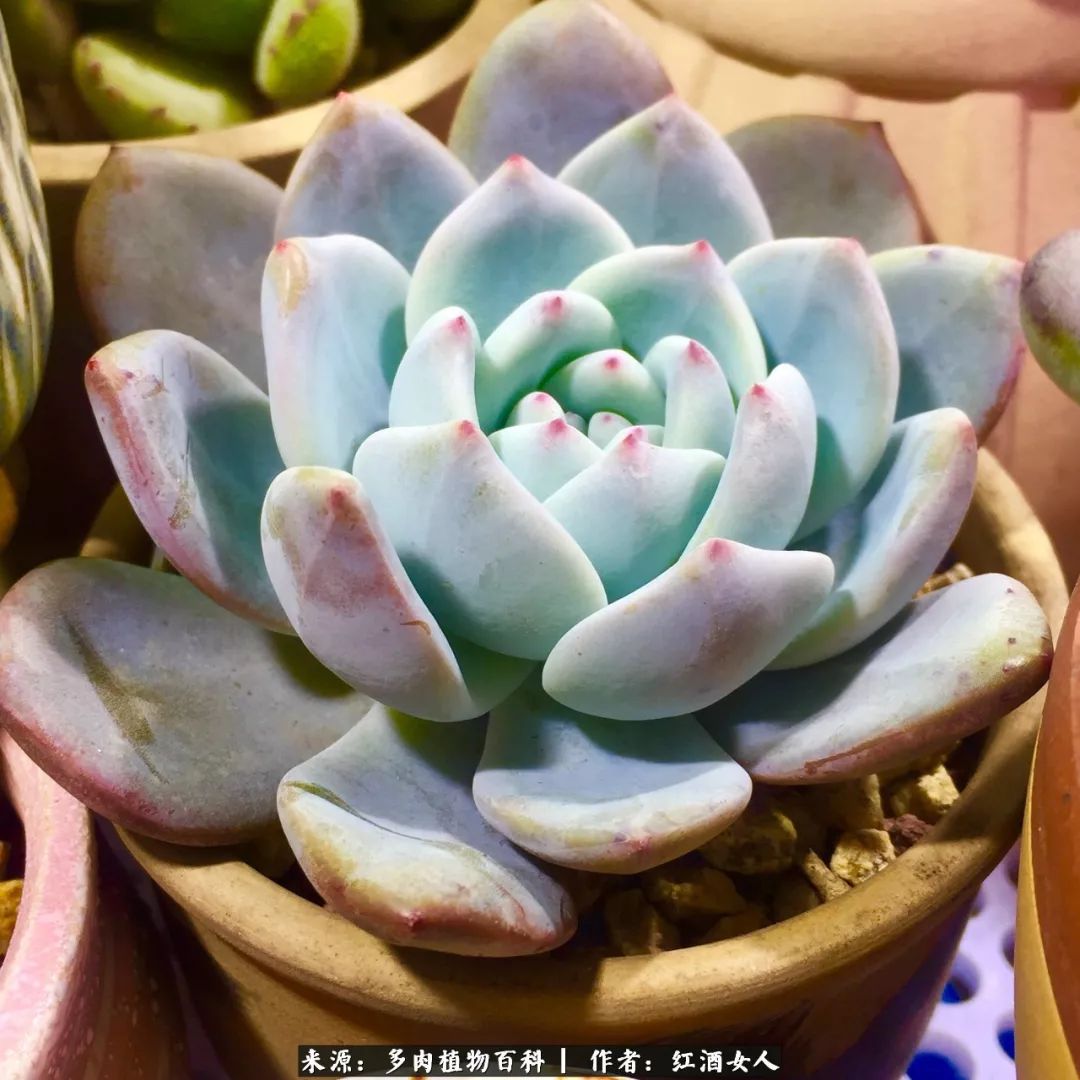 记录走过的美景留下美好的回忆,记录走过的每一段美好时光