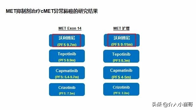 肺癌罕见基因治疗进展,肺癌只有基因突变才能靶向治疗吗