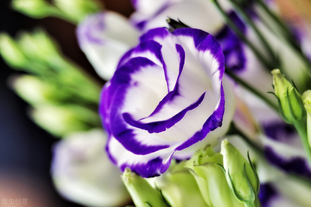 如何跟处女座妈妈搞好关系,怎样才能和处女座相处得更好