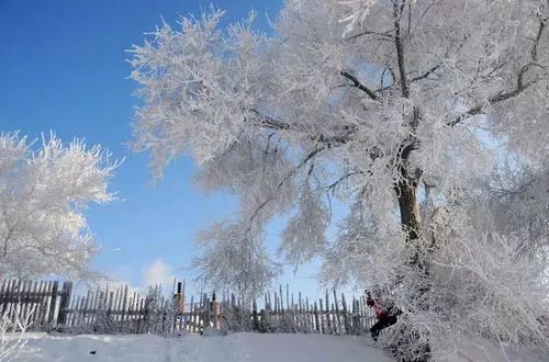 陪领导下乡视频,陪领导下基层指导工作怎么说