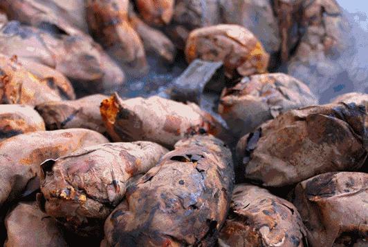 中国本土食物和外来食物有哪些,中国的美食有多少外国人喜欢