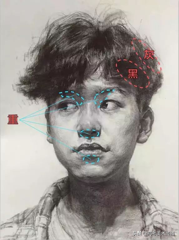 素描铺色练习,素描人像结构如何铺调子