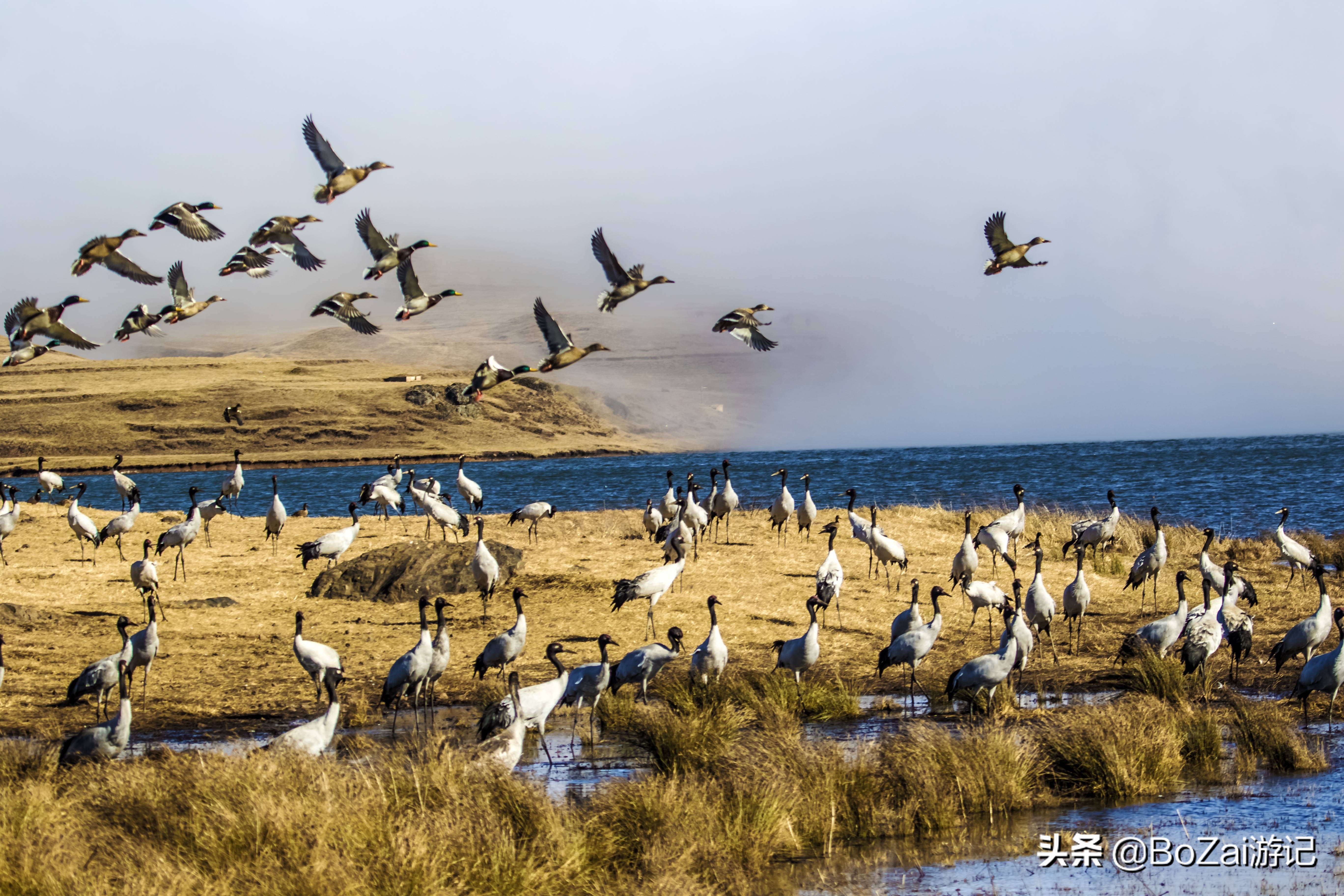 昭通到抚仙湖中途有什么景点好玩,云南昭通大关有哪些旅游景点