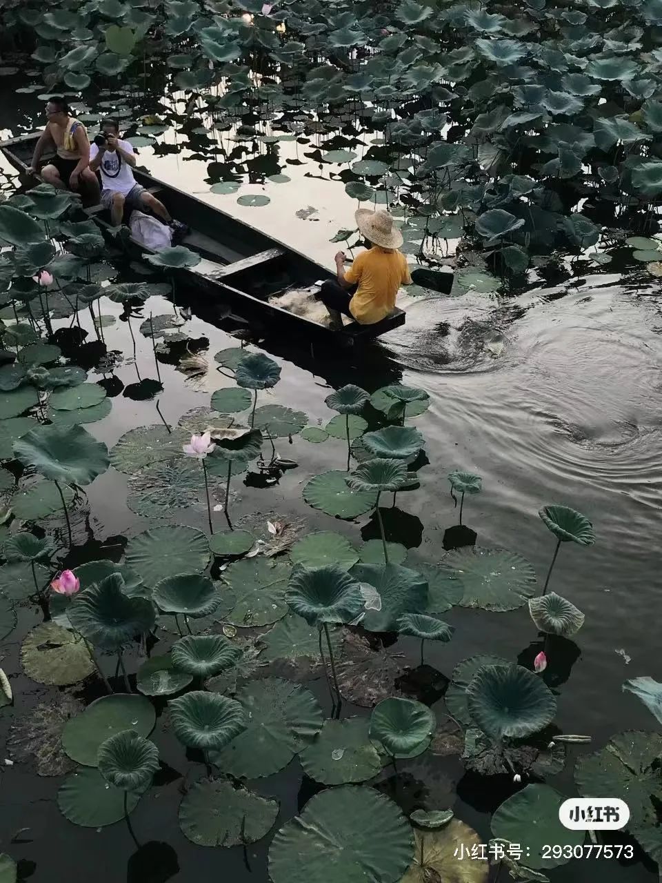 吴彦祖拍的劲爆电影,吴彦祖最新片