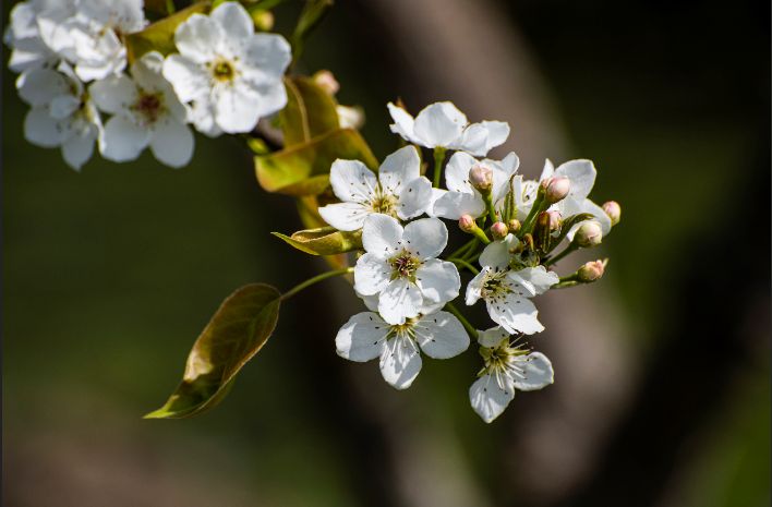 尼康70-300镜头对焦不清楚怎么办,尼康70-300不带防抖镜头怎么样