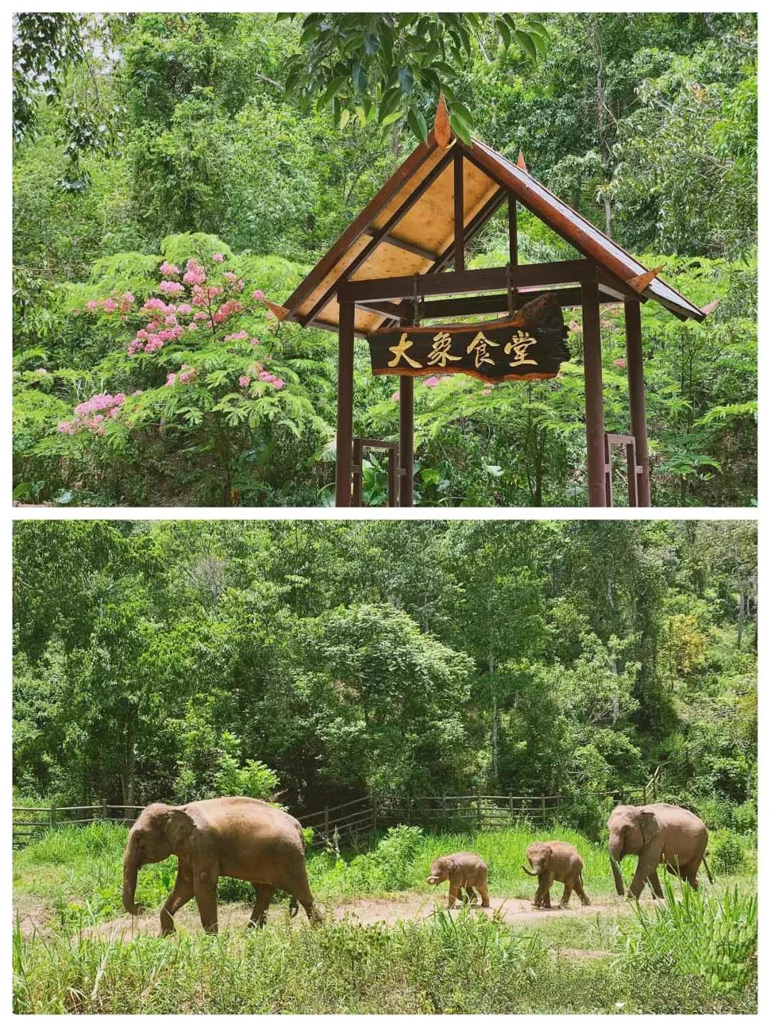 浜戝崡鏅椽榛庢槑涔嬪煄鍥剧墖,鏅椽榛庢槑涔嬪煄鍘嗗彶