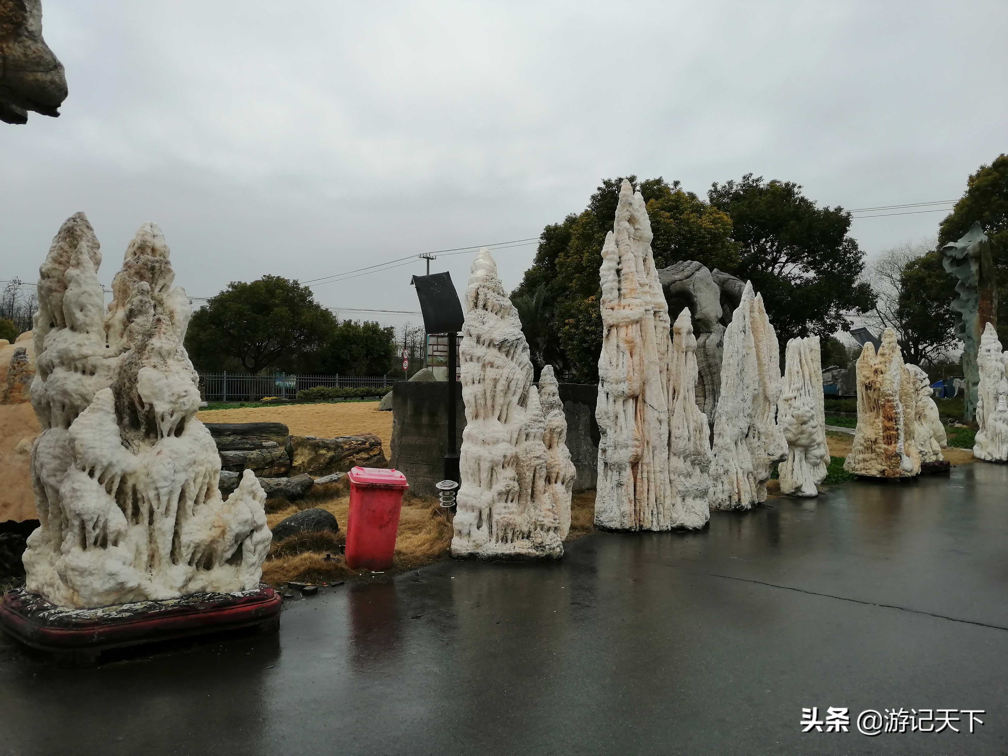 阿尼亚参观博物馆,上海地质科普馆游玩