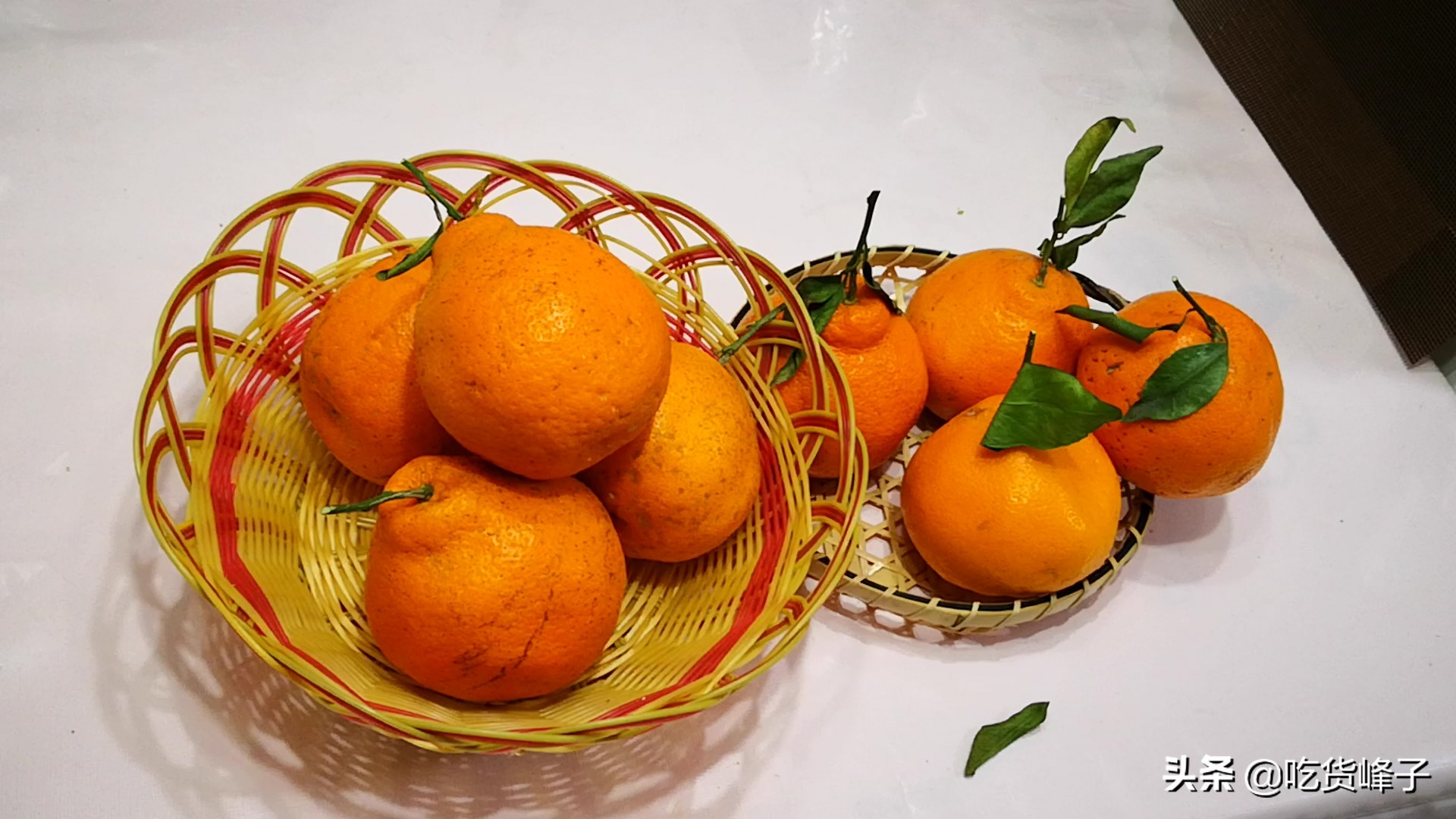 丑橘是转基因水果吗能吃吗,丑橘和转基因水果哪个好