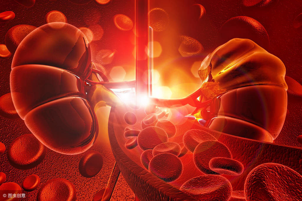 了解肾功能的方法,了解肾脏才能保护肾脏