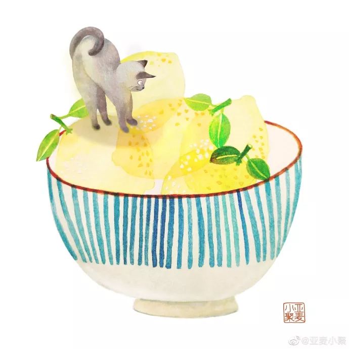 可爱的橘猫插画,一组可爱的治愈系猫咪插画