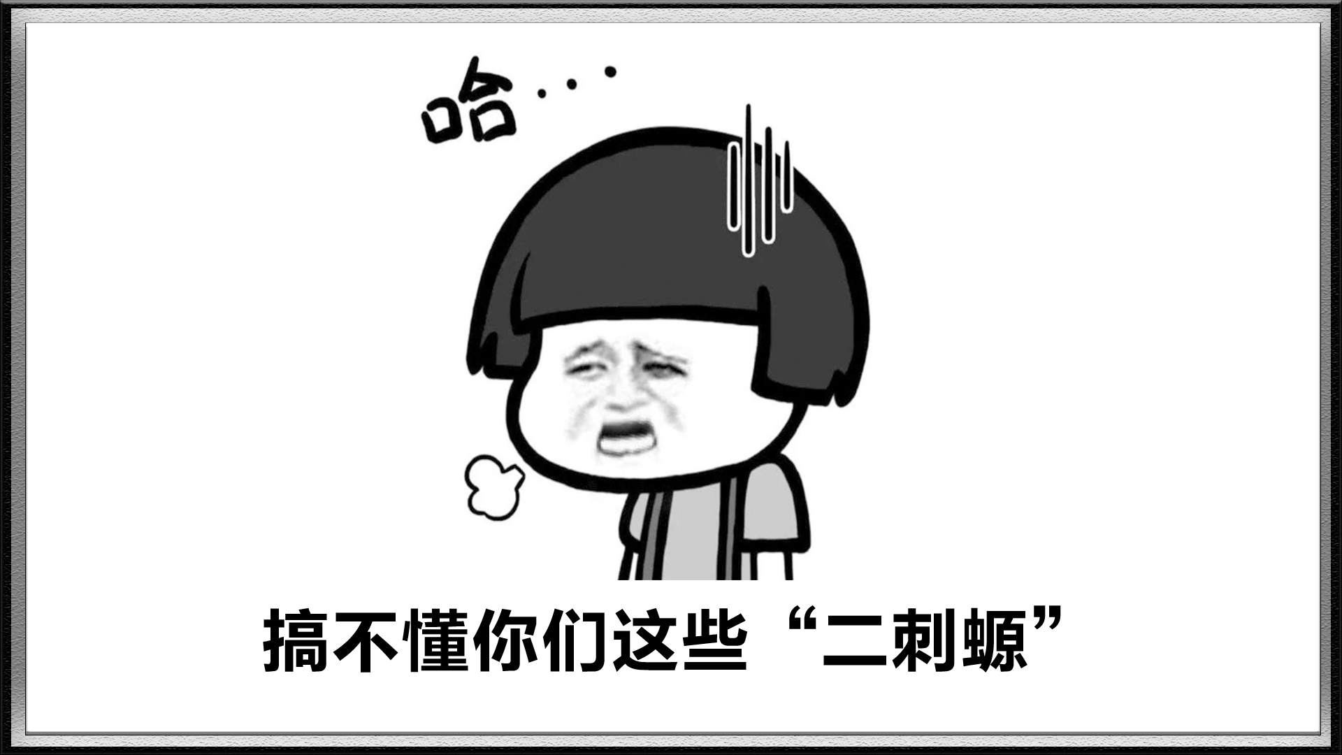 二刺螈是骂二次元的吗,二刺螈二次元