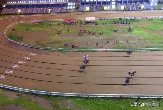 带你发现上海超治愈打卡地,上海人不会推荐的地方