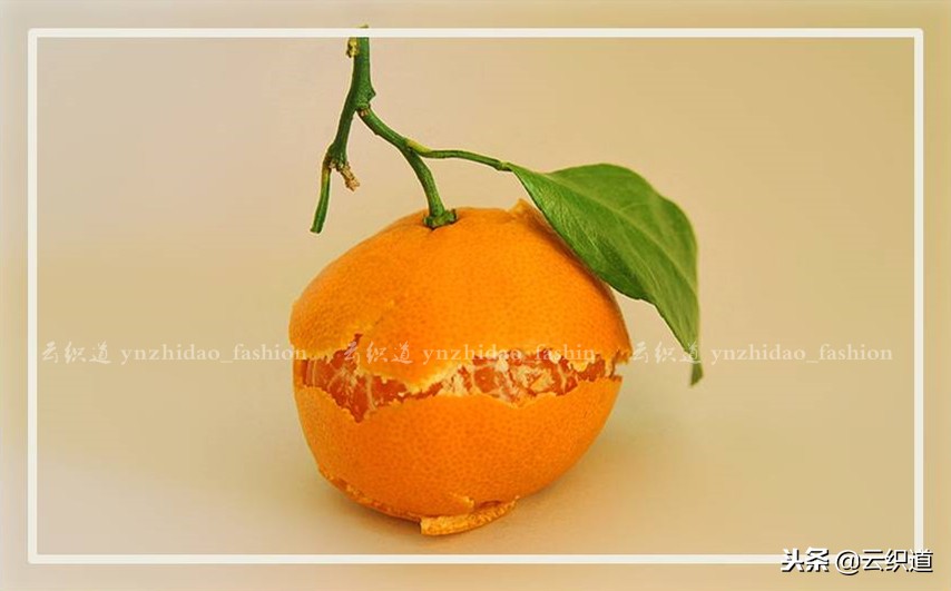 衣服裁剪制作女,服装立体裁剪稿子怎么做