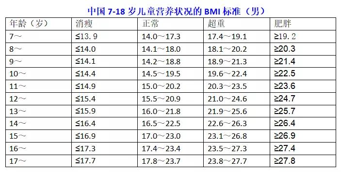 家中有个小胖子,家有两个小胖子