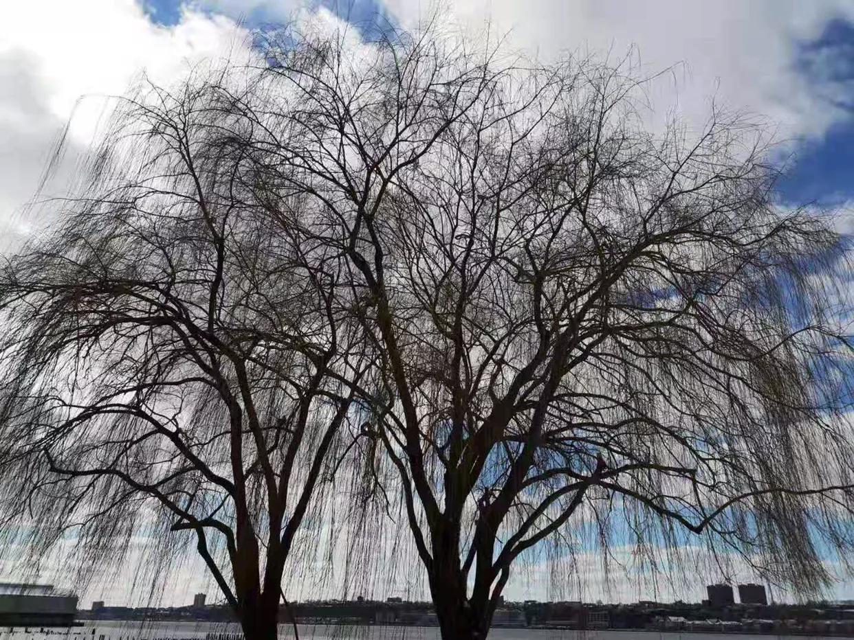 手拍世界完整版视频,手拍世界作品专集