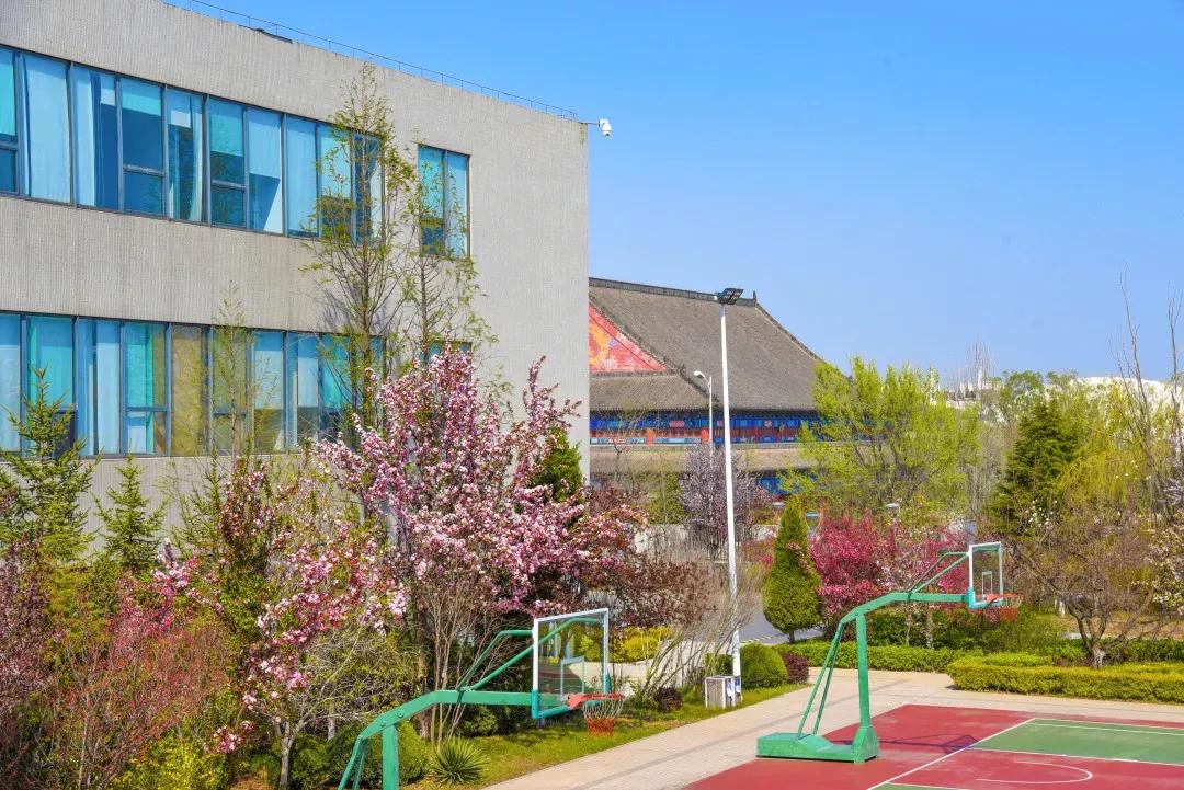 辽宁大学和鲁迅美术学院,辽宁省鲁迅美术学院是985吗