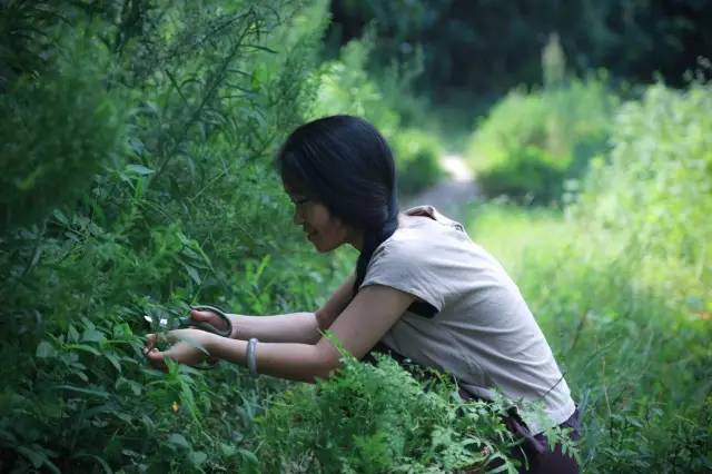 深山老林自建豪华木屋隐居生活,90后小情侣隐居深山建别墅仅花6万