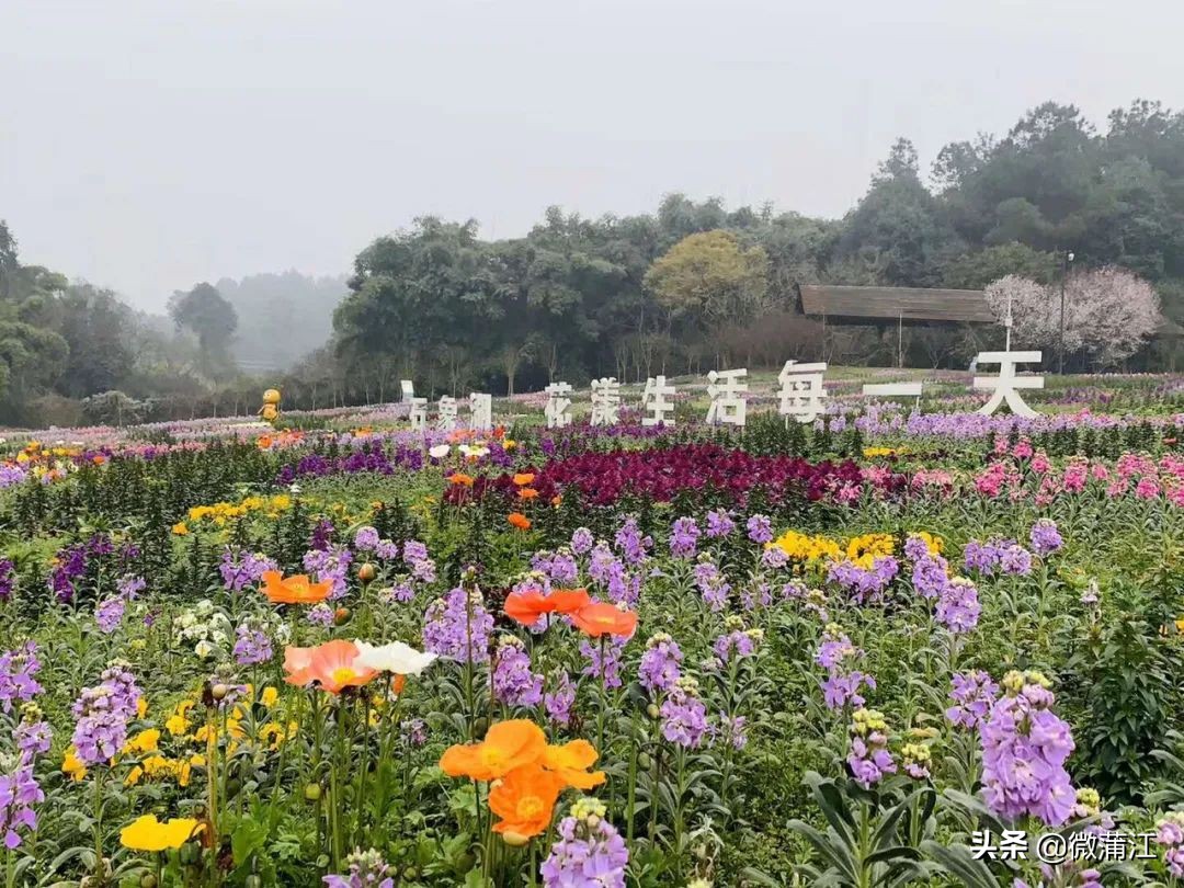 石象湖现在开放吗最新消息,石象湖景区什么时候开放