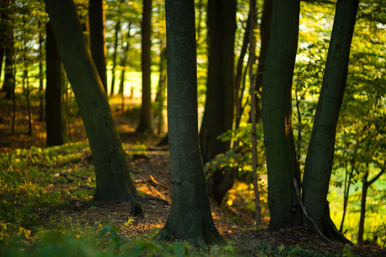 站在巨人的肩膀上深度解读,站在历史巨人的肩膀上