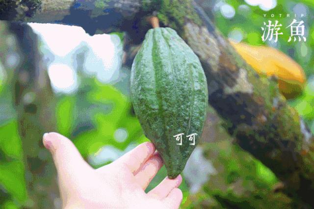 希尔顿兴隆湖,希尔顿酒店兴隆店