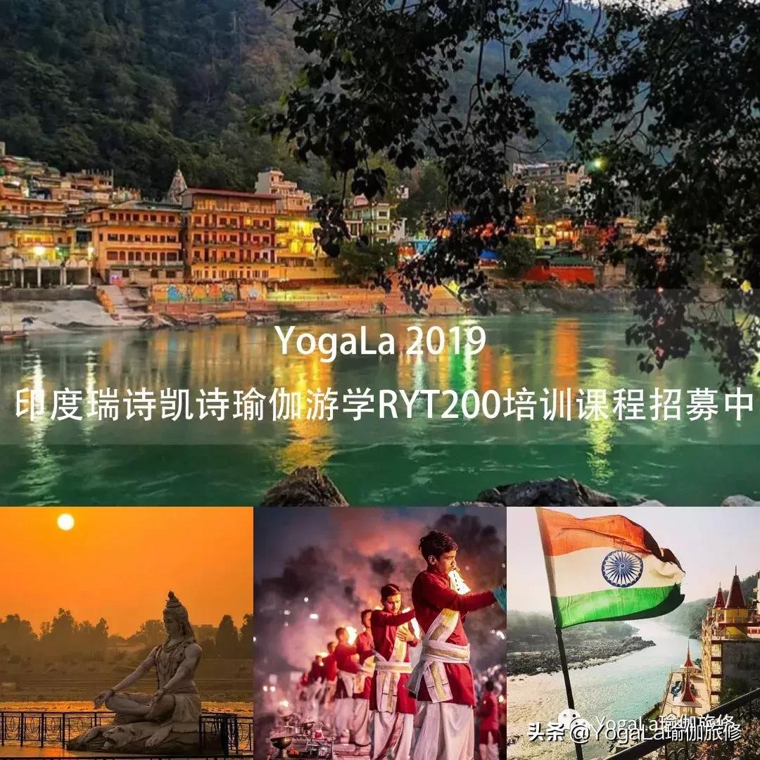 YogaLa2019印度南部阿育啡陀认证课程+排毒解压之旅