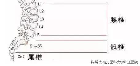 生完孩子后腰尾部很痛,生完孩子后腰痛小腹痛