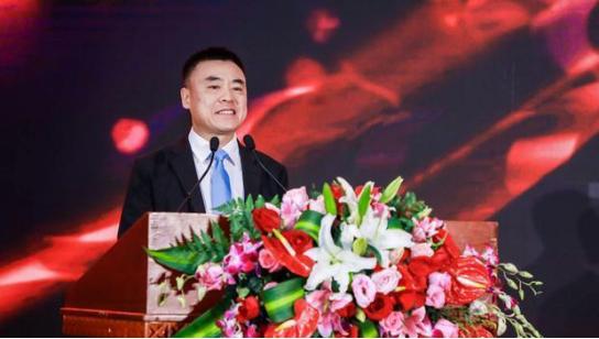 国产之光奇瑞星途汽车,国产之光海马汽车