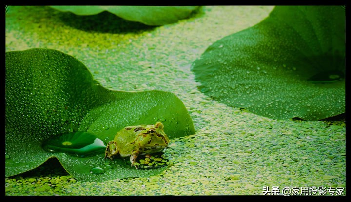 三星lsp9t激光投影仪效果,三星lsp9t激光电视评测