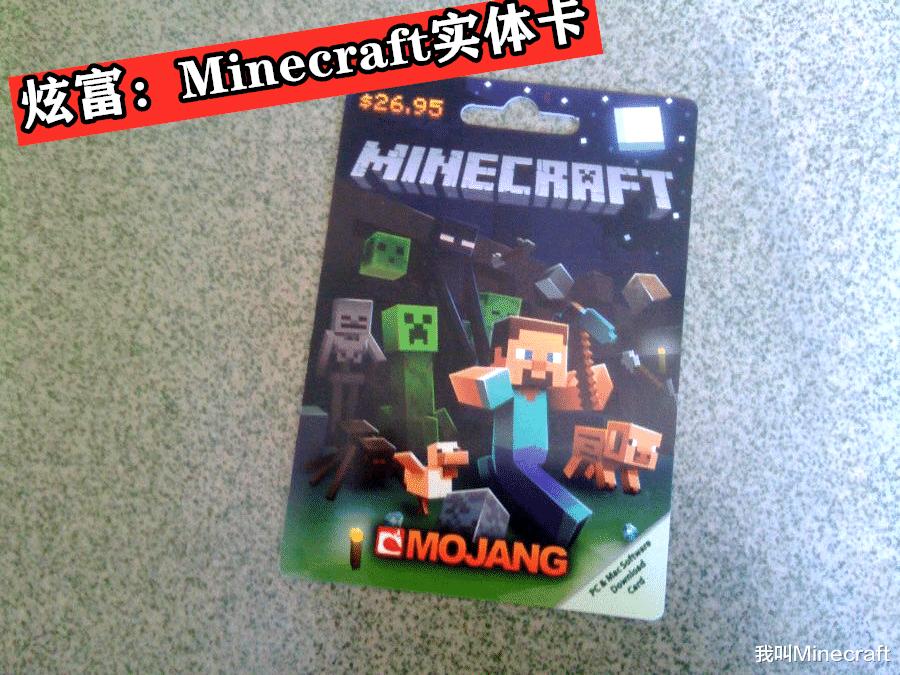 我的世界：“凡尔赛文学”是个什么梗？玩家：我有20铁，怕否？