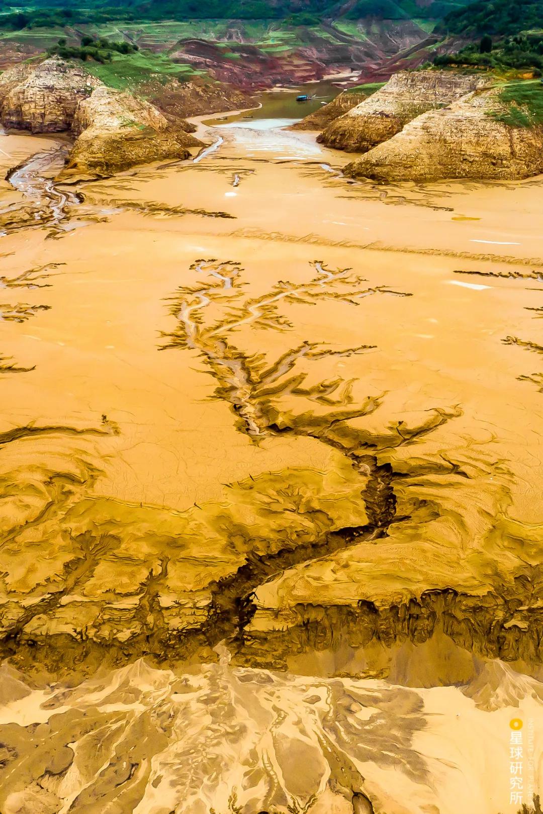 中国植树造林成果国外有什么看法,植树造林改造沙漠